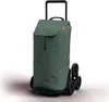 A green shopping trolley with a black handle and wheels, shown against a white background. Anteprima dell’immagine prodotto