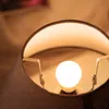 Close-up view of a light bulb inside a lampshade. Anteprima dell’immagine prodotto