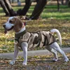 Genesungsanzug für Hunde und Katzen, Bodysuit für Produktbild-Vorschau 4