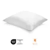 Kussen 65 x 65 cm, set van 2, zacht, Cyclafill-vulling van Productafbeelding-voorbeeld 2
