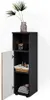 Midischrank Vicco Irma Goldkraft Eiche/Anthrazit 30 x 95 Produktbild-Vorschau 8