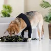 Suitical Recovery Front Leg Double Sleeve® Dog schwarz, Produktbild-Vorschau 3