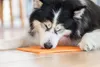 LickiMat Buddy likmat voor honden, kleur: roze, afmetingen: Productafbeelding-voorbeeld 16