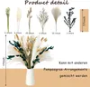 Pampasgras Getrocknet 65 Stück DIY Natürliche Trockenblumen Produktbild-Vorschau 6