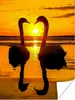 MuchoWow® Poster Schwäne - Sonnenuntergang - Vogel - Orange Produktbild-Vorschau 1
