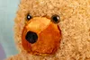 Close-up of a teddy bear's face. Voir les images du produit