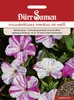 Wunderblume Marbles rot weiß | Wunderblumensamen von Dürr Produktbild-Vorschau 3