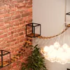 QLS Kit mur d'escalade pour chats XXL Ponts suspendus Lit Voir les images du produit 9