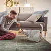 Haustier Hundepullover 4PCS Winterhundepullover Klassischer Produktbild-Vorschau 6