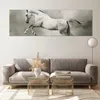 Bilder auf glas - Pferd Tier - 160x50cm - Glasbilder - Produktbild-Vorschau 7