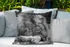 MuchoWow® Outdoor Kissen - Löwe - Afrika - Schwarz - 60x60 Produktbild-Vorschau 4