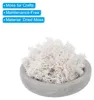 3.5 OZ Kunstmoos Konserviertes Rentiermoos Kš¹nstliche Moos Produktbild-Vorschau 2