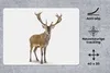 MuchoWow® Mauspad Mousepad Hirsche - Tiere - Weiß - Junge - Produktbild-Vorschau 2