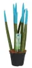 Sansevieria Cylindrica Straight – Spaghetti VELVET TOUCHZ® Podgląd zdjęcia produktu 2