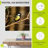 ARTland Poster Kohlmeise im Wald Größe: 50x50 cm Produktbild-Vorschau 2