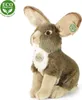 Peluche Lepre 30 Cm Ecologico Anteprima dell’immagine prodotto 1