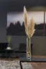 LEONARDO 18626, Vase mit runder Form, Transparent, Produktbild-Vorschau 6
