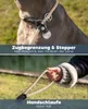 guinzaglio per cani da riporto lionto, sicuro, elegante e Anteprima dell’immagine prodotto 10