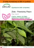 SAFLAX - Garden in the bag - Zioła - Prawdziwy Pieprz - 20 Podgląd zdjęcia produktu 1