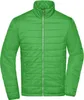 Men's Padded Jacket Leichte, wattierte Steppjacke green, Produktbild-Vorschau 1