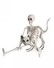 Halloween Skelett 40 cm - Beweglich Produktbild-Vorschau 5