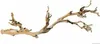 Hagen Exo Terra Ramo della foresta grande 60 cm Anteprima dell’immagine prodotto 1