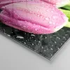 Bilder auf glas - Tulpen Tau Steine Pflanze - 40x40cm - Produktbild-Vorschau 5
