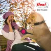 Flexi New Neon S, 5 meter, uitrolbare lijn voor honden Productafbeelding-voorbeeld 7