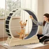GTPLAYER looprad voor katten, extra groot (100 cm), Productafbeelding-voorbeeld 6