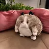 RAPPA Cozy Noxxiez HW725 Cat - Caldo cuscino di peluche 3 Anteprima dell’immagine prodotto 4