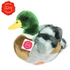 Teddy Hermann Wildente braun/grün 24 cm sitzend Produktbild-Vorschau 4