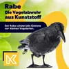 KADAX Black Raven « Krokom », plastique, répulsif pour Voir les images du produit 10