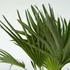 A close-up view of the leaves of a palm plant. Podgląd zdjęcia produktu
