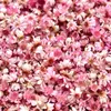 280 getrocknete Blumen, natürliche Trockenblumen, rosa, 0,5–1 cm Productafbeelding-voorbeeld