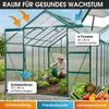 BRAST Gewächshaus Aluminium mit Fundament | 380x250x235cm | Produktbild-Vorschau 6
