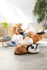 NICI Chill- bear, Spieltiere Produktbild-Vorschau 5