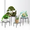 A collection of decorative plant stands with various potted plants and floral arrangements displayed on them. Produktbild-Vorschau