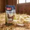 PANTO KAK Kükenalleinkorn (2 mm gekörnt) 25kg - Produktbild-Vorschau 3