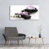 Glasbilder 120x60 Wandbild Druck auf Glas Blumen Steine Produktbild-Vorschau 3
