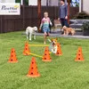 Set PawHut per agility: attrezzatura da agility in 3 pezzi Anteprima dell’immagine prodotto 2