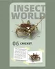 Kit de construction à emboîter « Insectes », 588 pièces, Voir les images du produit 11