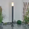 Zogno »Zogno« mit Steckdose, Metall, Schwarz, Glasscheibe, Produktbild-Vorschau 8