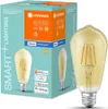 Product packaging with a light bulb shown next to it. Produktbild-Vorschau