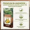 Green Home Bananenerde 36 L – für Bananen & Tropenpflanzen, Produktbild-Vorschau 2