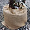 A plant wrapped in burlap fabric for winter protection, sitting on gravel. Náhled obrázku produktu