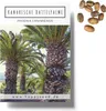 Kanarische Dattelpalme Samen (Phoenix canariensis) - Produktbild-Vorschau 1