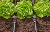 Valvola di regolazione/arresto del Micro-Drip System Anteprima dell’immagine prodotto 19