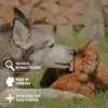 AniForte Silberwasser Spray für Hunde, Katzen, Pferde & Produktbild-Vorschau 4