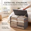 Coffre de rangement, renforcé en bois/carton, BOXX'N Voir les images du produit 6