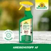 AmeisenStopp AF mit zuverlässiger Wirkung gegen Ameisen Produktbild-Vorschau